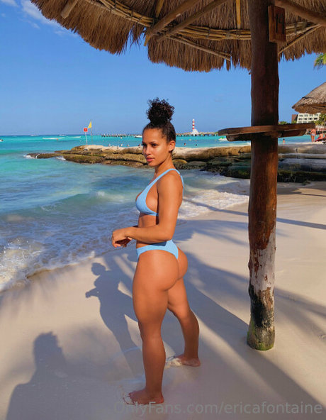 Erica Fontaine