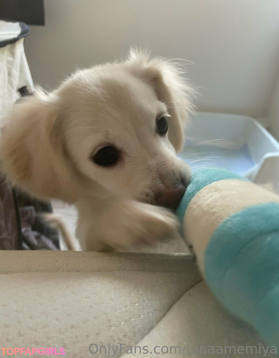 Photo nue de fuite OnlyFans de Lunaamemiya #1852