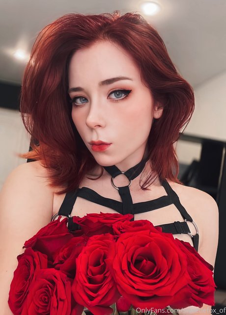 Sweetie Fox