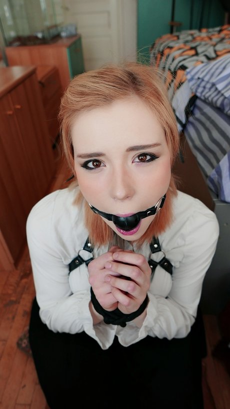 Sweetie Fox