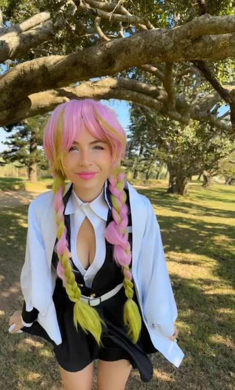 Animaechan