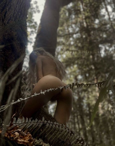 Lady Willow Wood