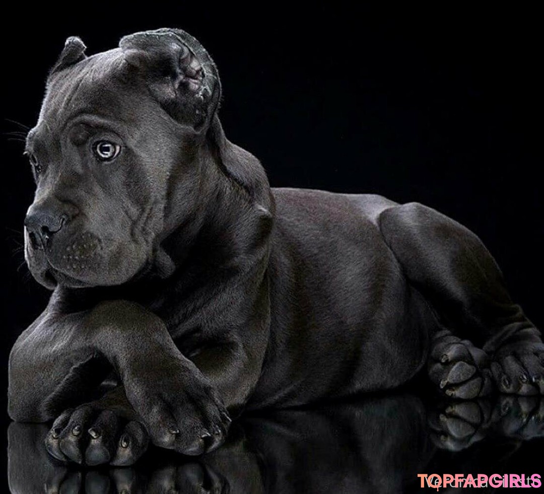 Photo nue de fuite OnlyFans de Veronicasilesto #44 Photo nue de fuite OnlyFans de Veronicasilesto #44