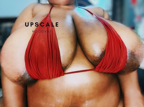 Upscalehoodrat2