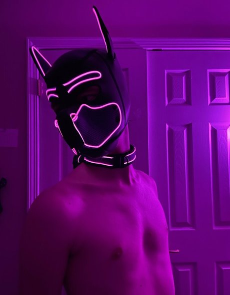 Puphaze