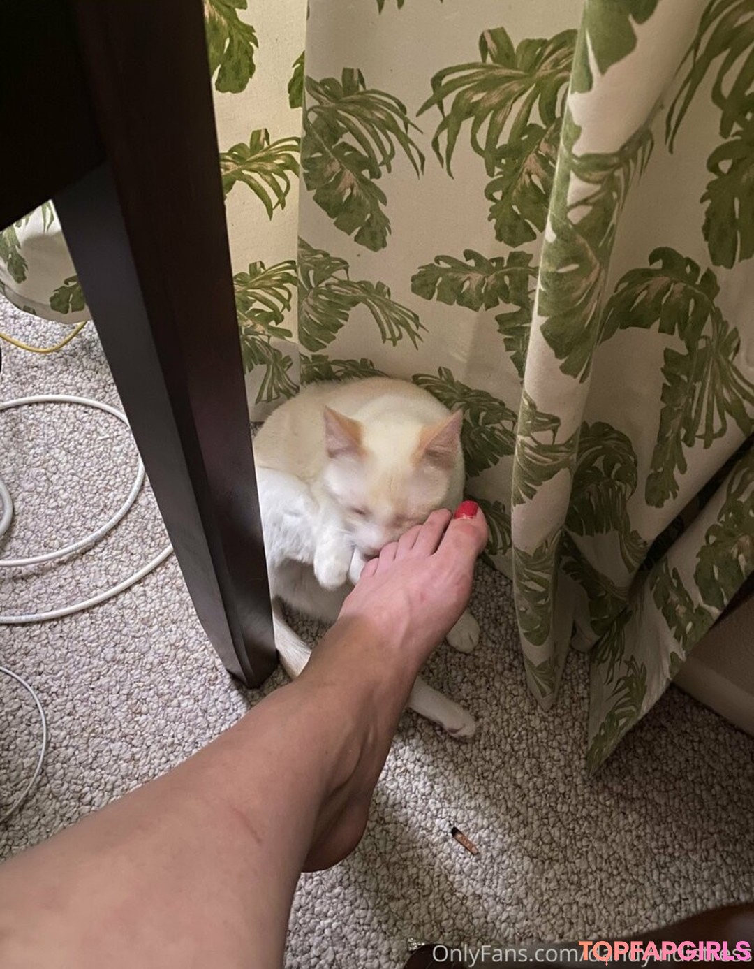 Photo nue de fuite OnlyFans de Dandyindistress #45 Photo nue de fuite OnlyFans de Dandyindistress #45