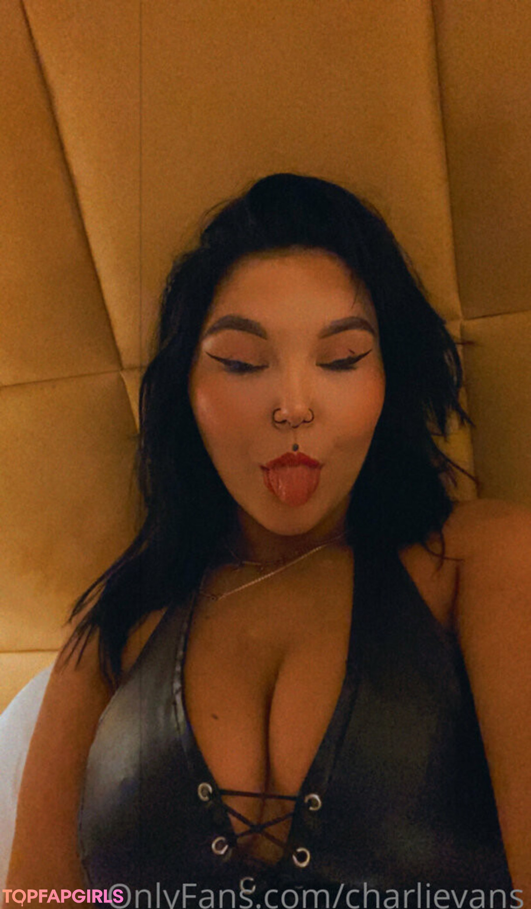 Photo nue de fuite OnlyFans de Charli Evans #91 Photo nue de fuite OnlyFans de Charli Evans #91