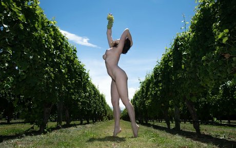 Photo nue de fuite OnlyFans de Poseurs