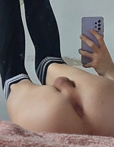 Tajgersusfemboy
