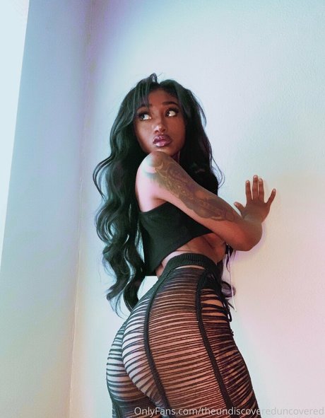 Theundiscovereduncovered