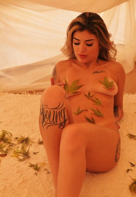 Brunna Hollinger