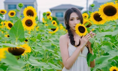 Anita Feifei_11111