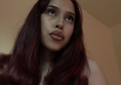 Lamoneydiosa