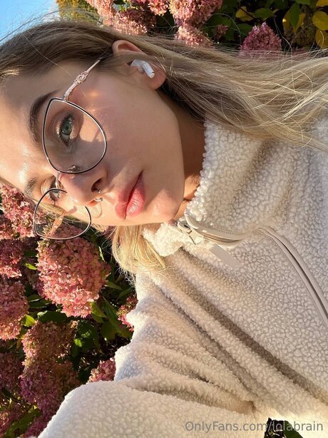 Lolabrain