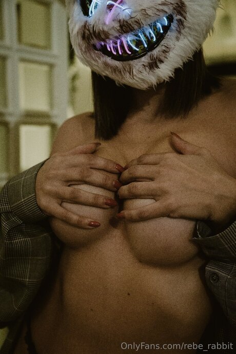 Rebe Rabbit