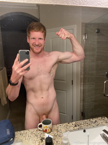 Gingerinlv
