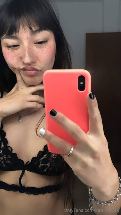 Kattmacek