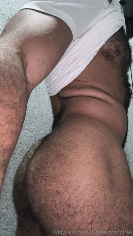 Photo nue de fuite OnlyFans de Sirdobermannfree