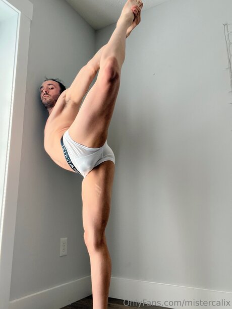 Mistercalix