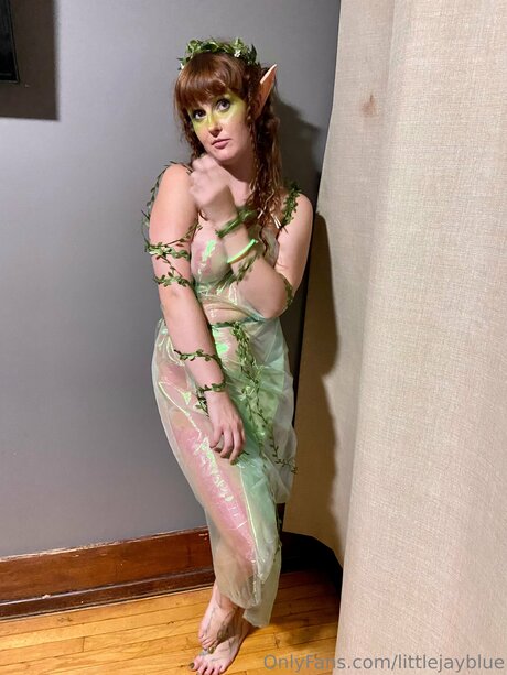 Littlejayblue