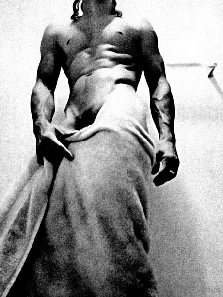 Mr Venus