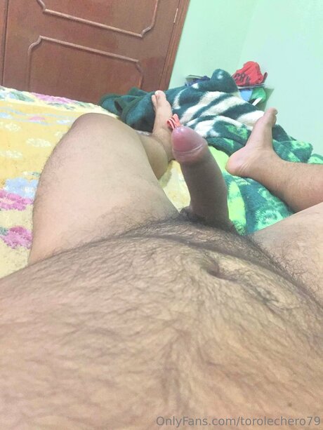Torolechero79