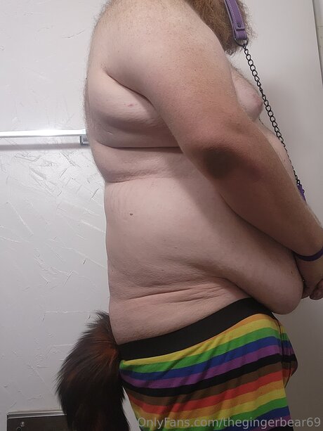 Thegingerbear69