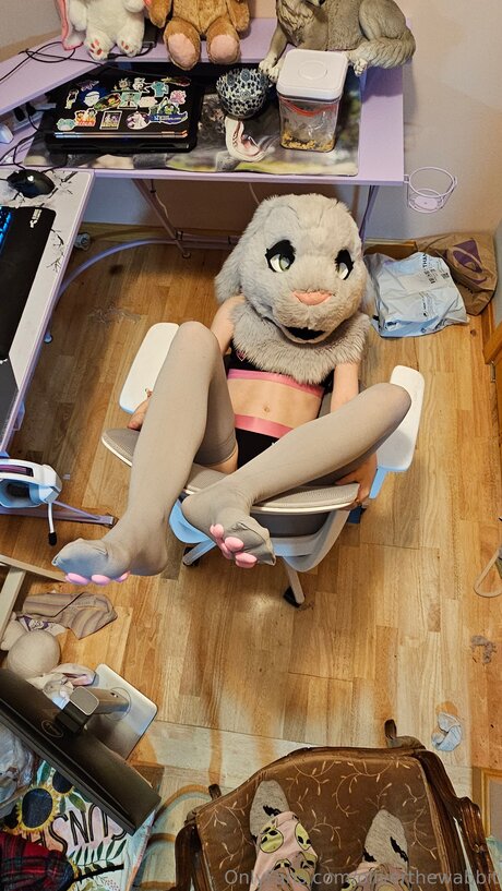 Oliverthewabbit