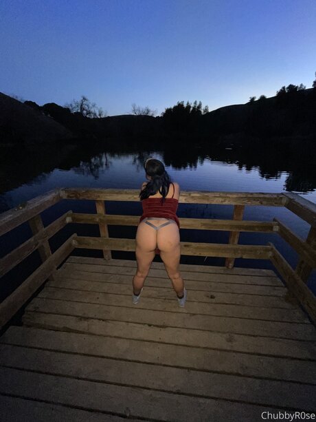 Chubbbyrose