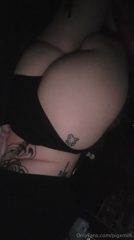 Pigxmilk