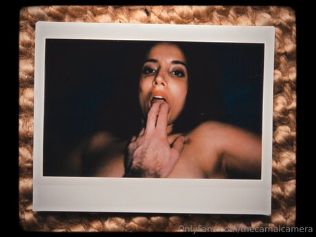 Thecarnalcamera