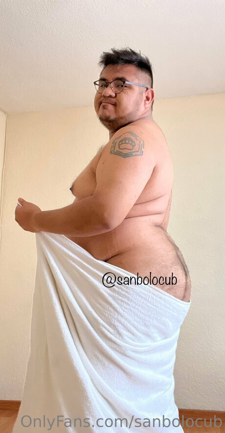 Sanbolocub