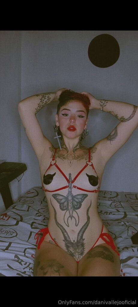 Danivallejooficial