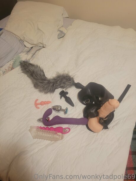 Photo nue de fuite OnlyFans de Wonkytadpole69