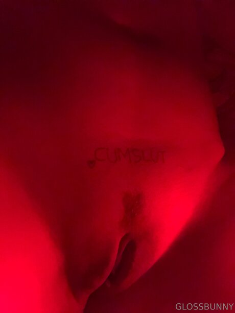 Glossbunny