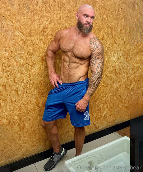 Sergebear