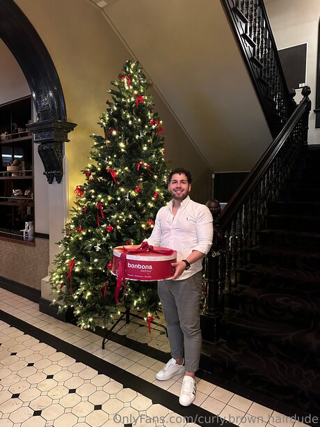 Curly Brown Hairdude