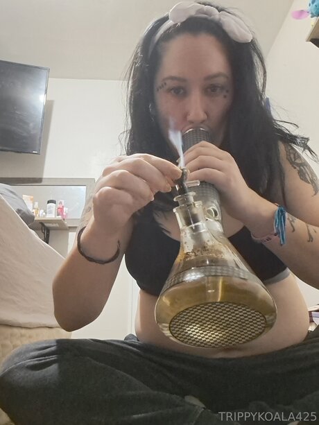 Trippykoala425