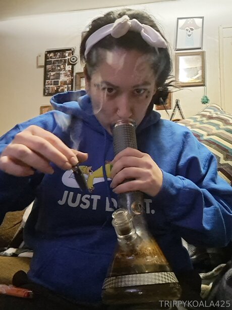 Trippykoala425