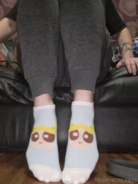 Trippykoala425