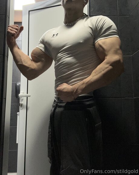 Photo nue de fuite OnlyFans de Stildgold