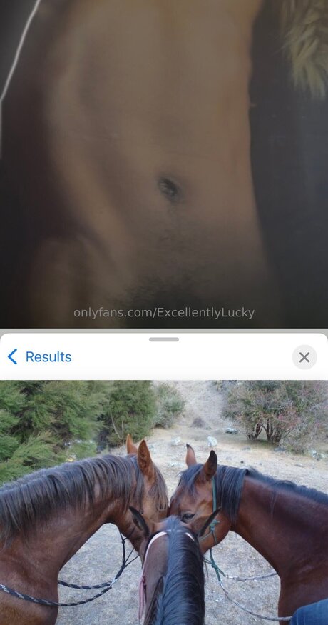 Excellentlylucky