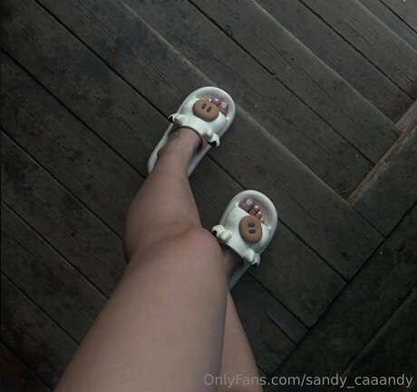 Sandy Caaandy