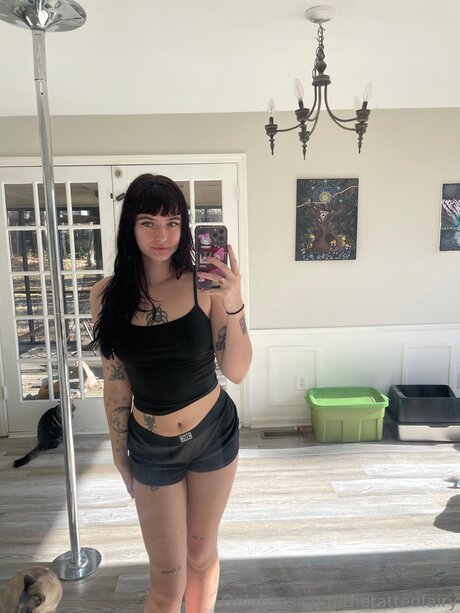 Thetattedfairy