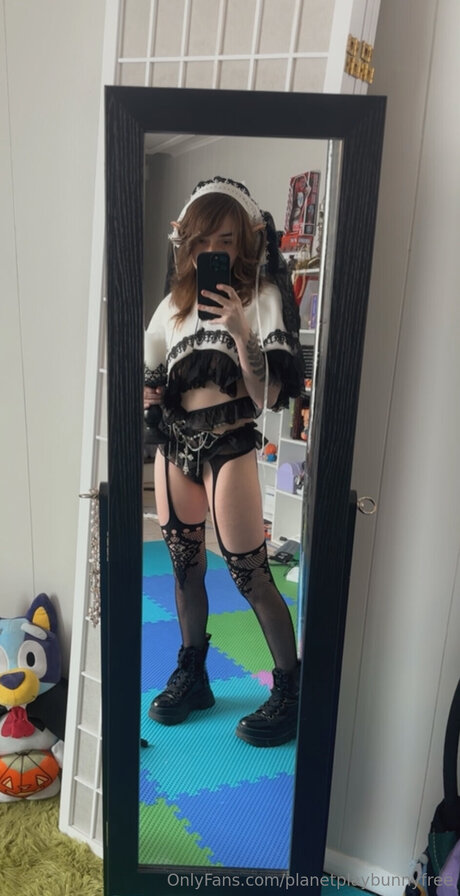 Planetplaybunnyfree