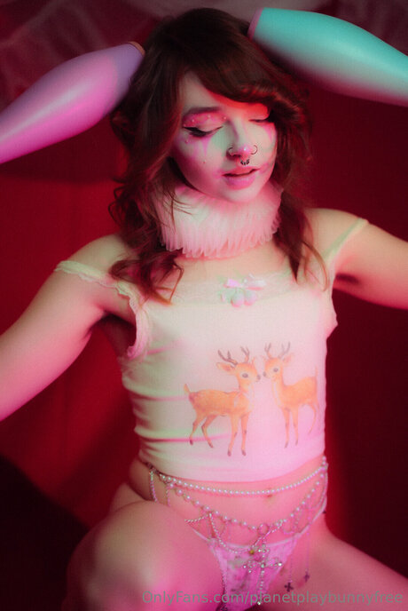 Planetplaybunnyfree