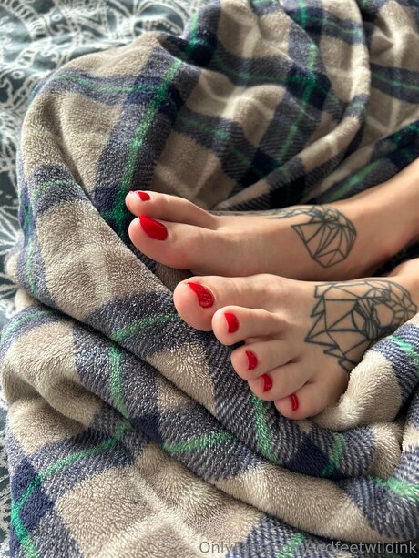 Redfeetwildink
