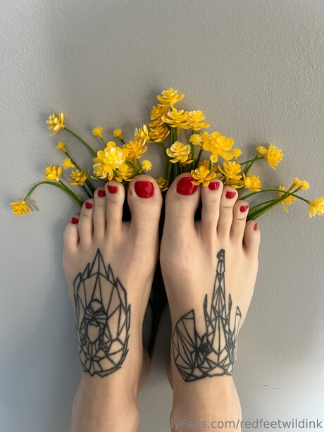 Redfeetwildink