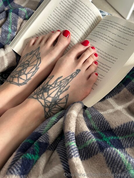 Redfeetwildink