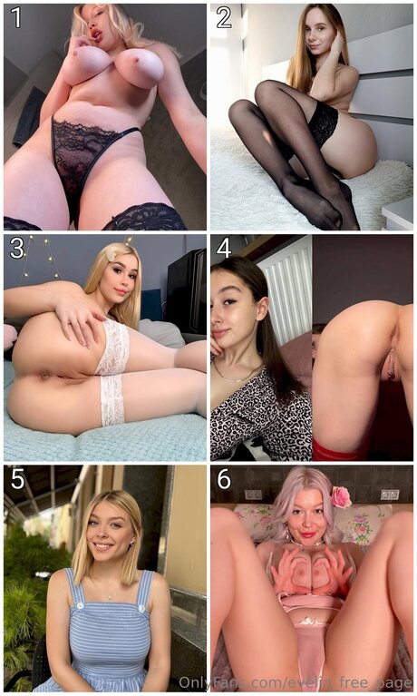 Evelin Free Page